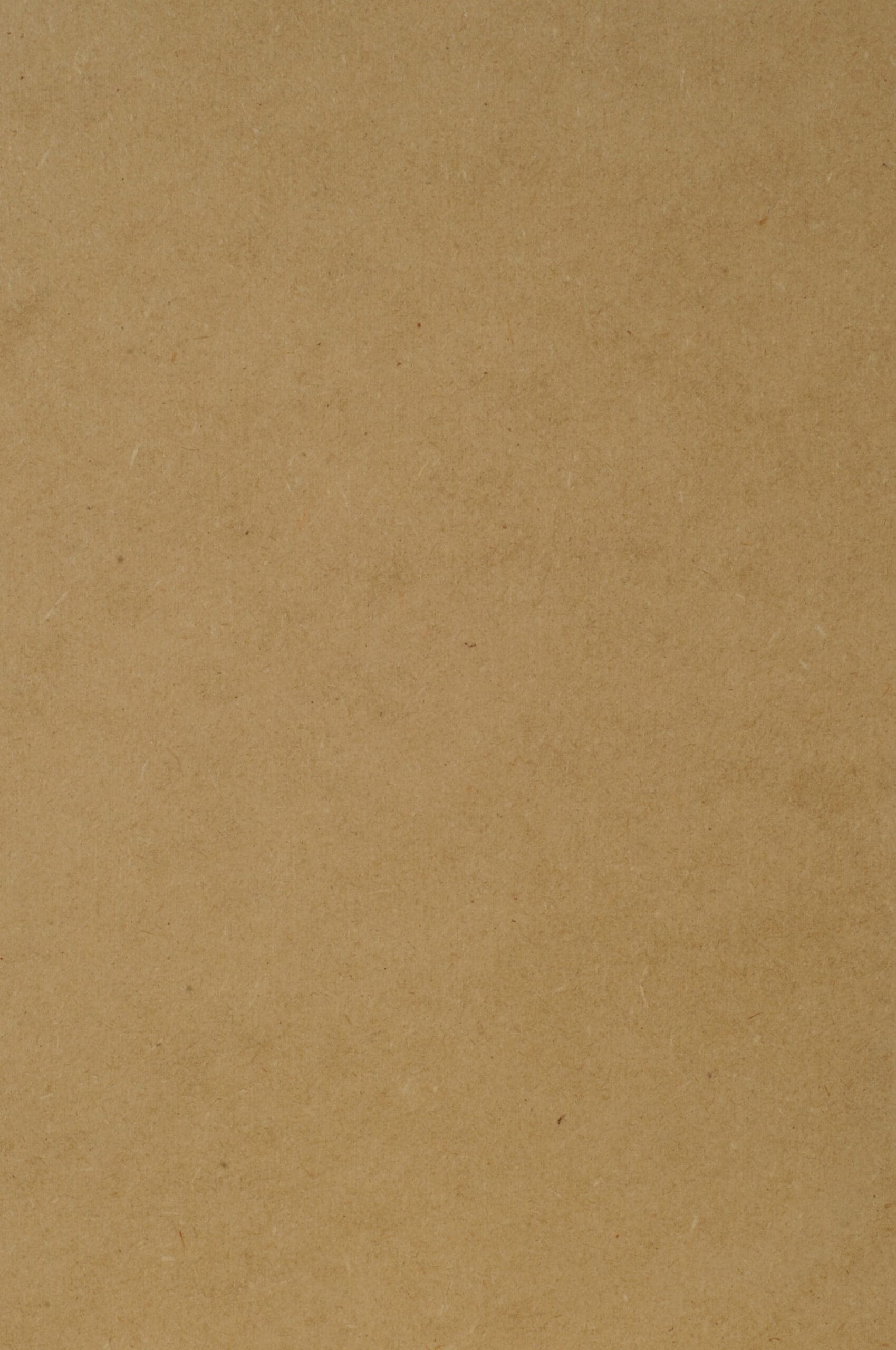 MDF Primed