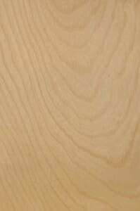 Natural Birch