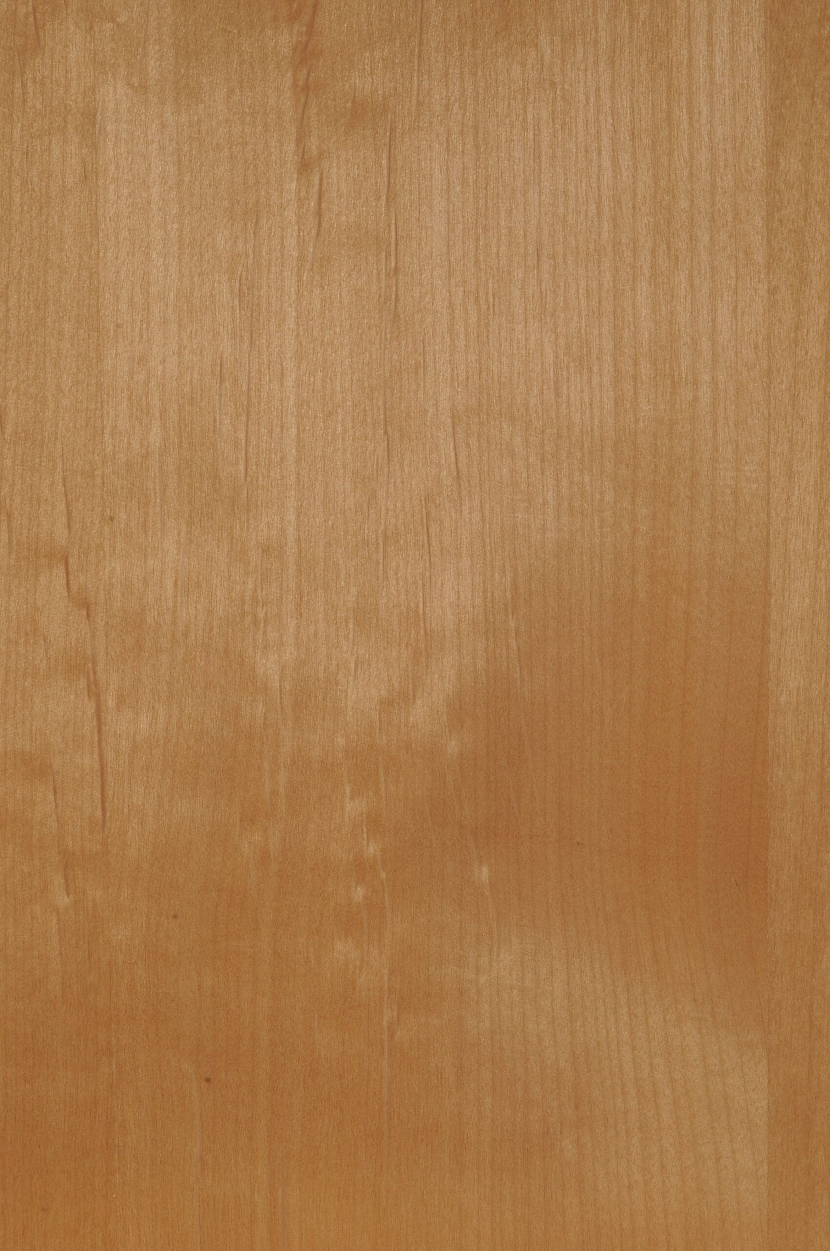 Clear Alder
