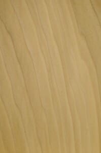 Stain Grade Poplar