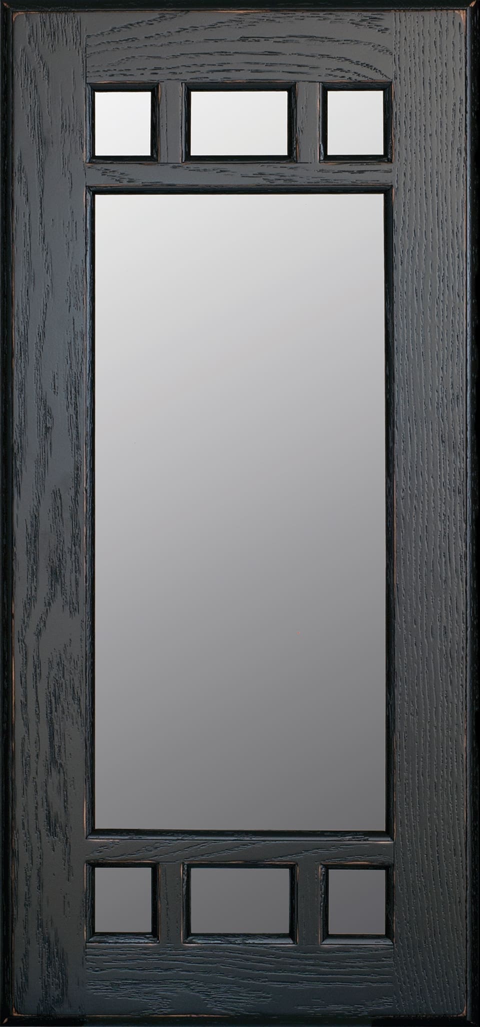 Princeton Mullion Door