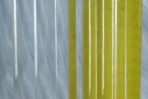 Reeded