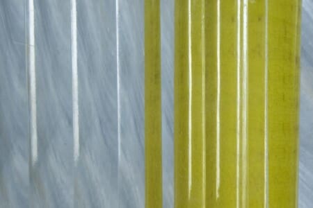 Reeded