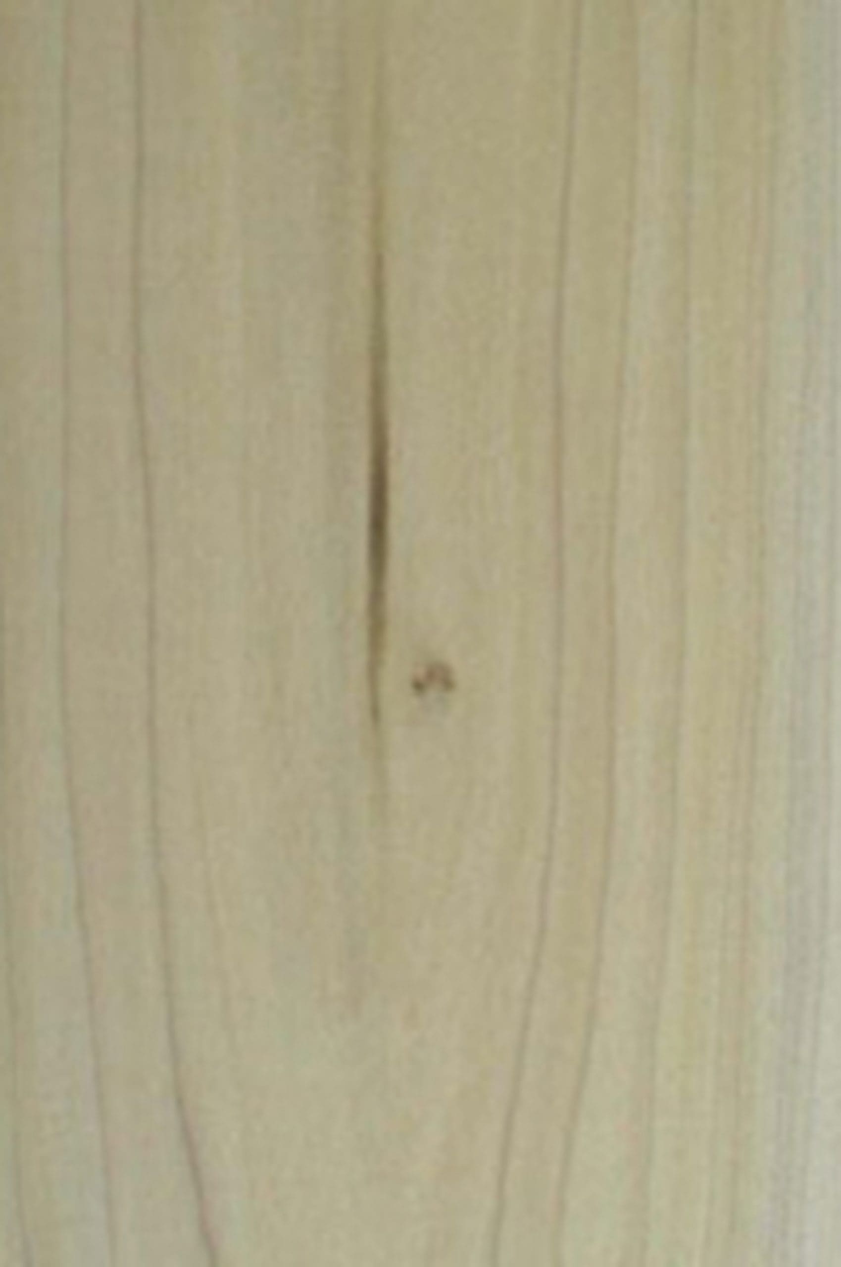 Rustic Poplar