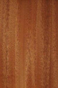 Sapele